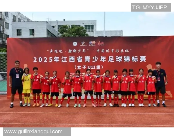 曾效力江西足球队的知名球星及其职业生涯回顾